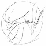 logo_fond_rond